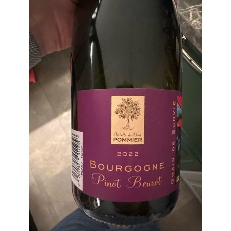 Isabelle & Denis Pommier Bourgogne Pinot Beurot 22